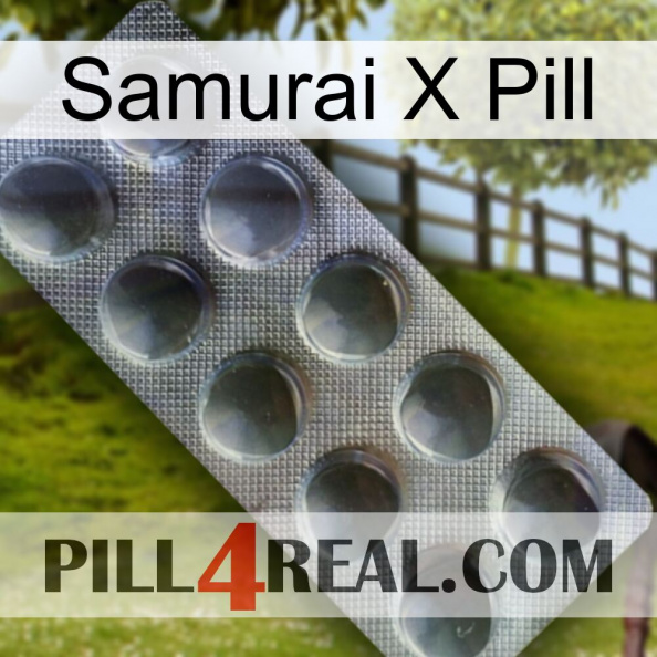 Samurai X Pill 30.jpg